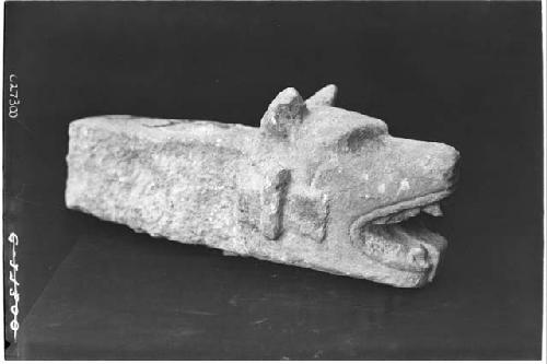 Dog's (?) head from small ball court E of Warriors. Str. 2D9