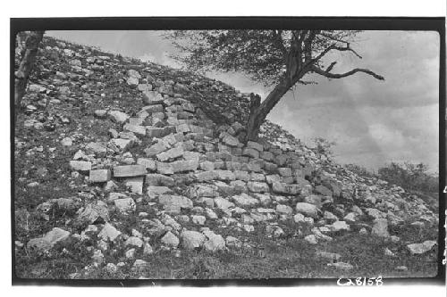 House of the Deer, stairway and terrace from SW.