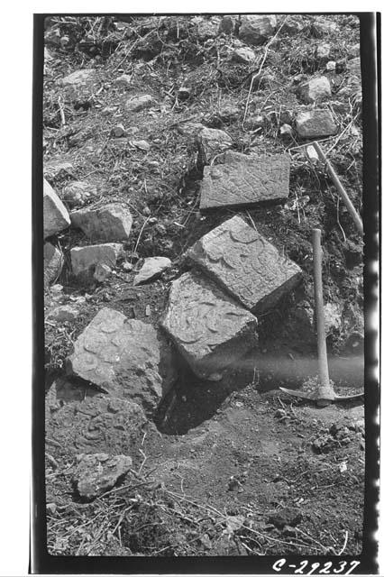 Caracol, W. Annex, sculptured stones of S. balustrade as found in situ.