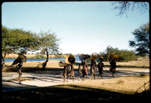 Group of people walking along a road carrying fish traps