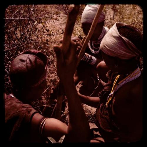 Three women digging with sticks to gather food