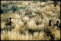 Hunting: Three boys walking through grass
