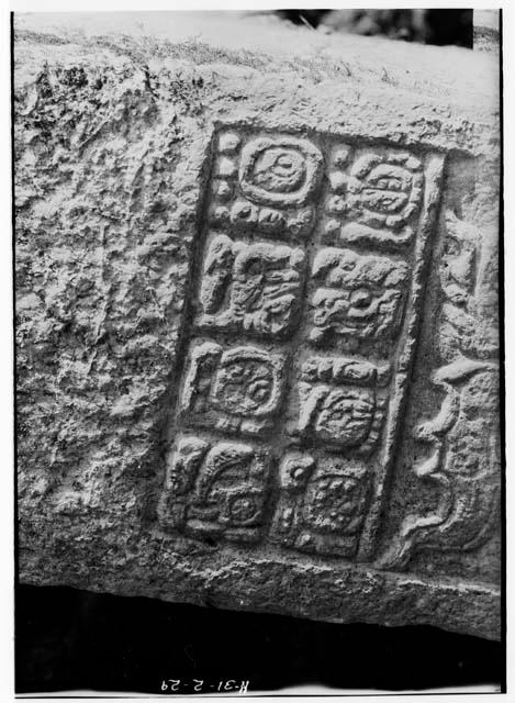 Lintel 38, Structure 16; close-up of glyph panel