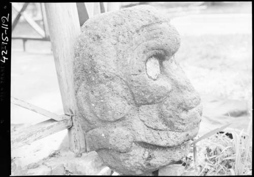 Stone head of monkey