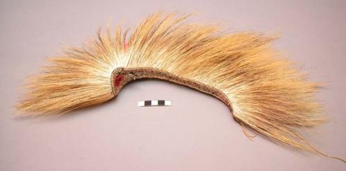 Head ornament, porcupine and elk hair