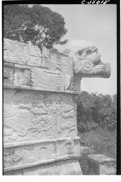 Head in position showing connecting serpent motifs at N.E. corner of Annex Zompa