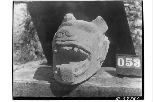 Stone dog head - Small ball court. Another view of C-27759