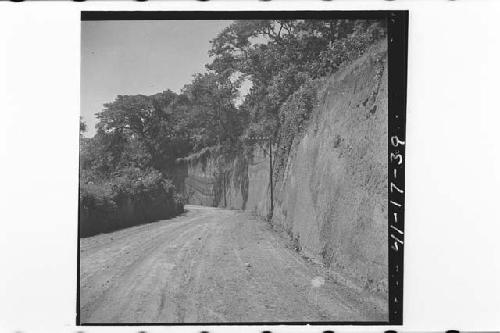 Volcanic ash section in wood cut on slope of Volcan Tecapa