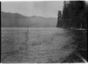 Lake Quinault