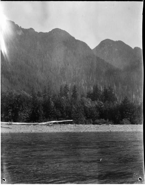 Upper Quinault River