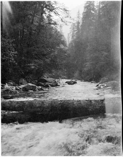 Quinault River at crossing