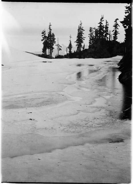 Frozen lake, with trees along shore