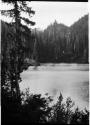 Lake, with trees along shore