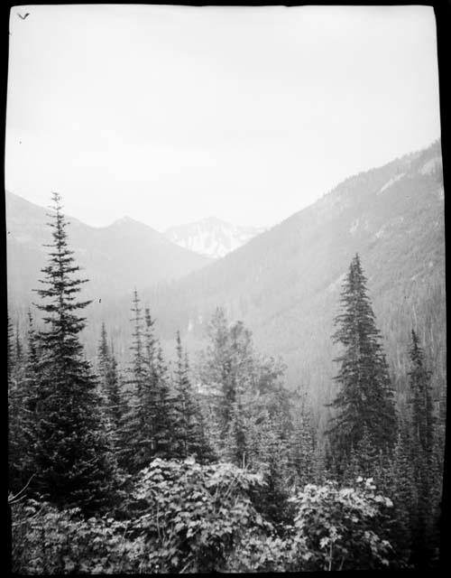 Landscape near Early Winters Creek