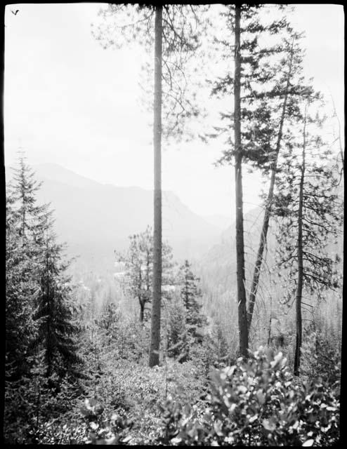 Landscape along Methow River