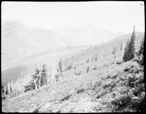 Mountain near Mill Creek and Windy Pass