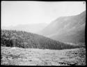 Landscape near Pasayten River and Windy Pass