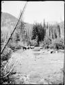 Mathews on horseback, crossing the Pasayten River