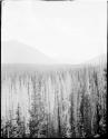 Landscape near East Fork of Pasayten River