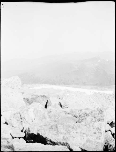 Deer on Park Peak