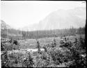 Near head of Early Winters Creek