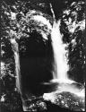 Waterfall, Rio Nuevo