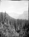 Trees and mountains near Emerald Lake