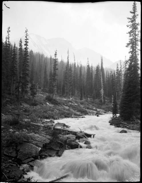 River near Emerald Lake