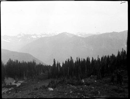 View from Godkin Ridge