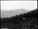 View from Godkin Ridge