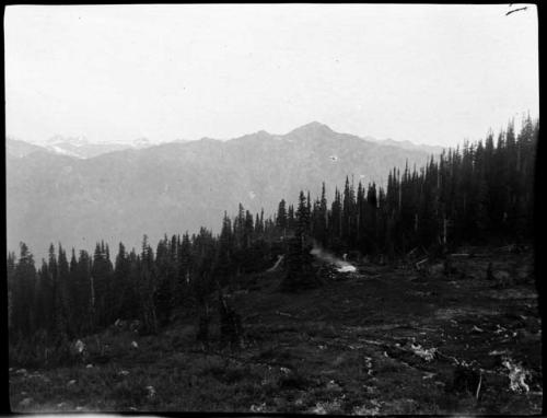 View from Godkin Ridge