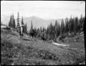 Men hiking with packs