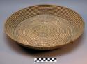 Coiled basketry tray