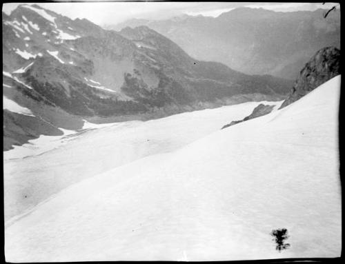 Hoh Glacier