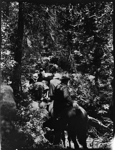 Mr. Hanson and party on horseback on trail