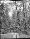 Man sitting next to a shelter, with snowshoes in the snow behind him