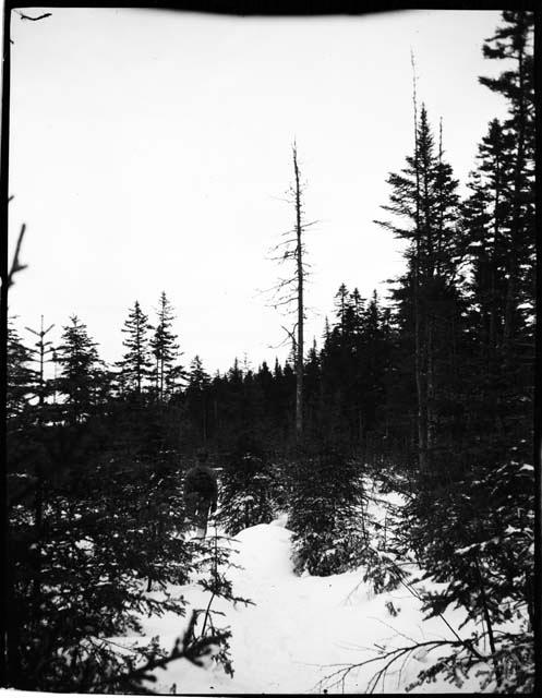 Man wearing a backpack, standing in snow, view from behind