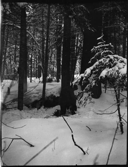 Man kneeling in snow, view from behind