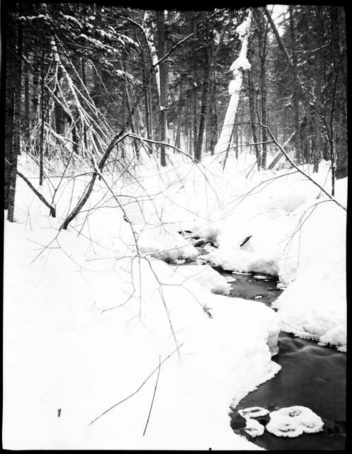 Snow covered stream