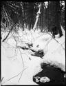 Man walking through woods next to a snow covered stream