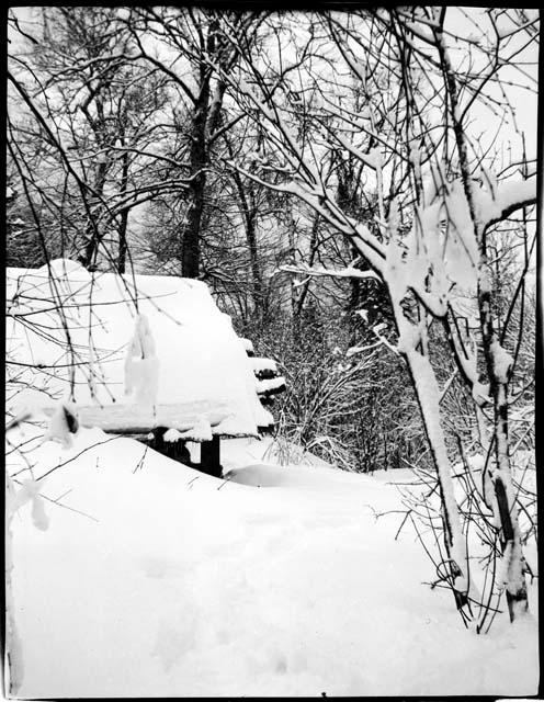 Cabin covered with snow