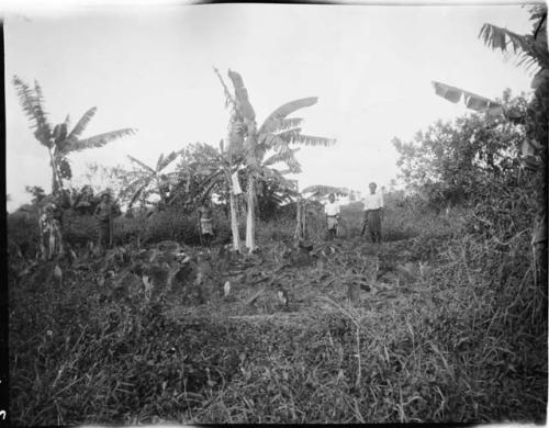 Men standing in a clearing in Naitonitoni