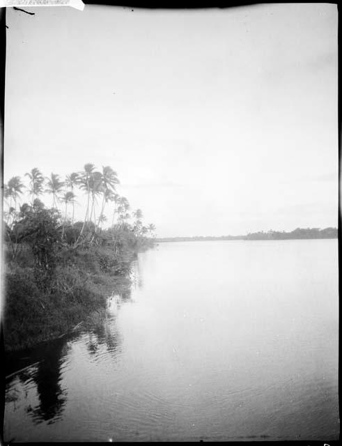 Navua River