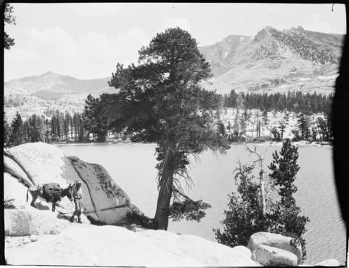 Man standing with a donkey next to a lake, with mountains in the background