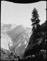 Tree, with mountains in the background