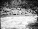 Man swimming in the Navua River