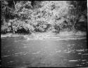 Boys fishing in the Navua River