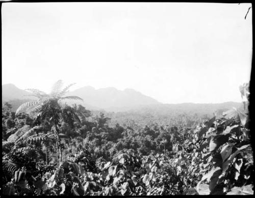 Mountain, view from trail near Namuamua