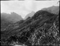 Mountains, between Namuamua and Namosi