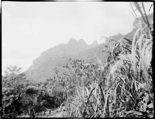 Mountains between Namuamua and Namosi